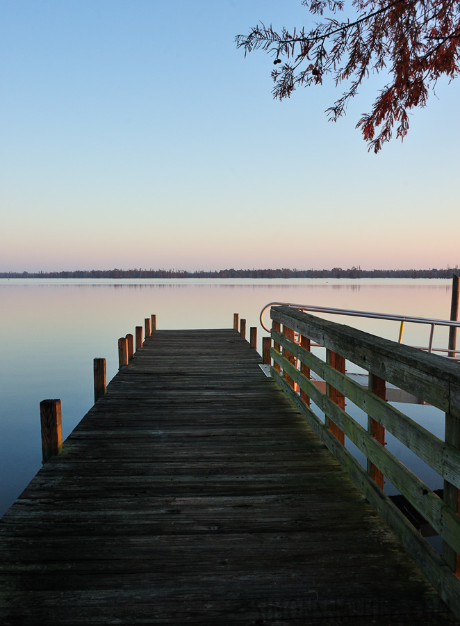 South Carolina [28 mm, 1/160 Sek. bei f / 8.0, ISO 800]